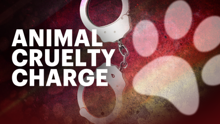 Ex-NYPD officer charged with 19 counts of animal cruelty in Goshen