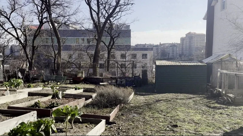 Story image: Serenity of Roberto Clemente Community Garden disrupted by parking problems