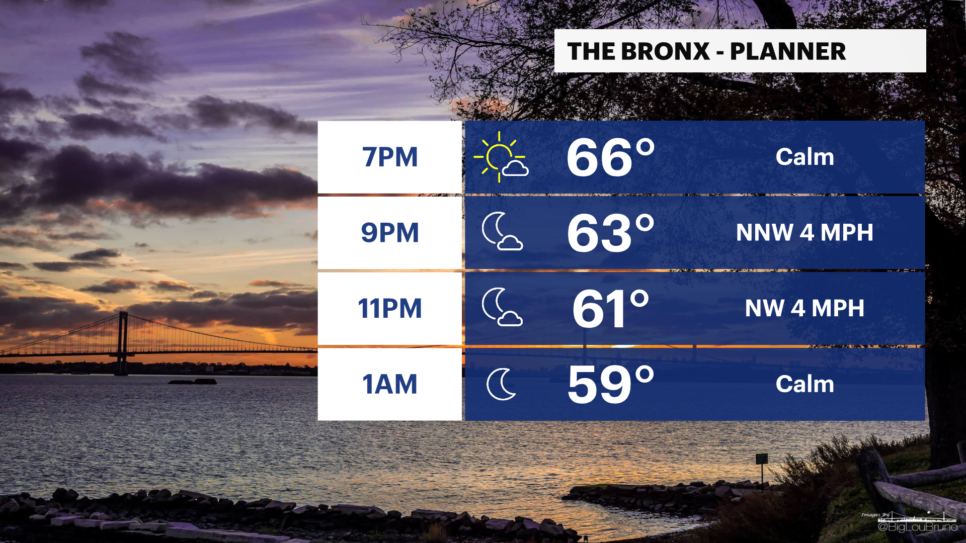 BRONX PLANNER - PM.png