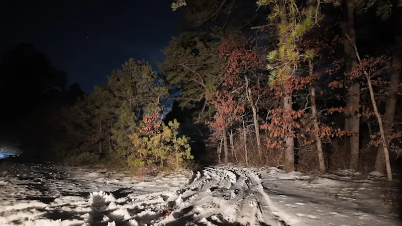 Story image: Police discover female body in Manorville woods during search for missing woman