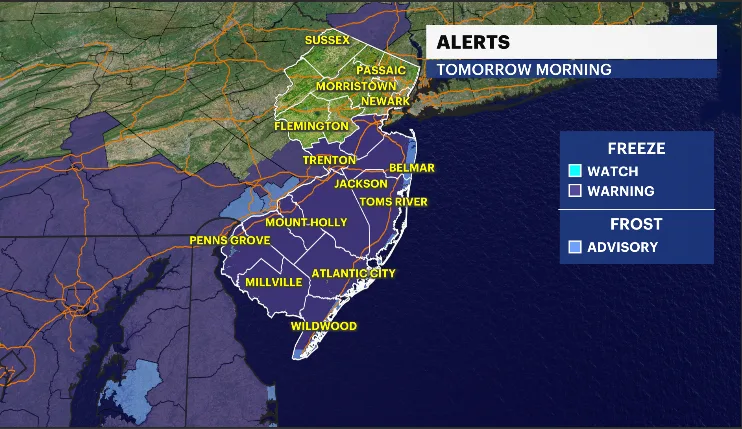 Freeze Alerts.PNG