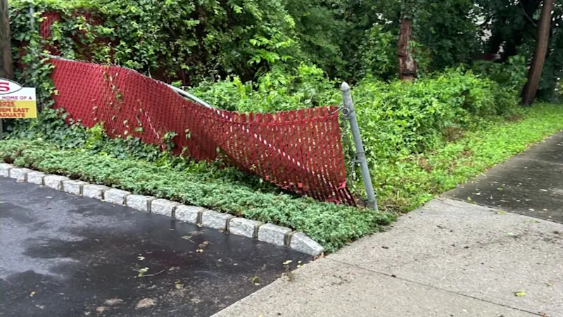Story image: Holtsville man injured in hit-and-run; incident caught on camera