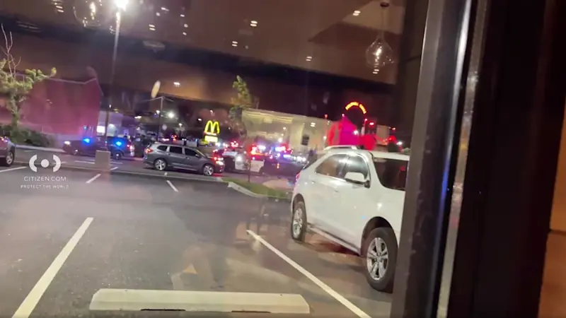 Story image: Mayor: 4 juveniles arrested in large Edison mall fight