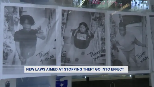 A closer look at 4 laws in approved NY state budget designed to combat retail theft