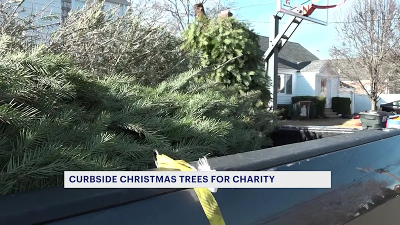 Story image: 'Feels good to help.' Fairfield company collects old Christmas trees to benefit Operation Hope