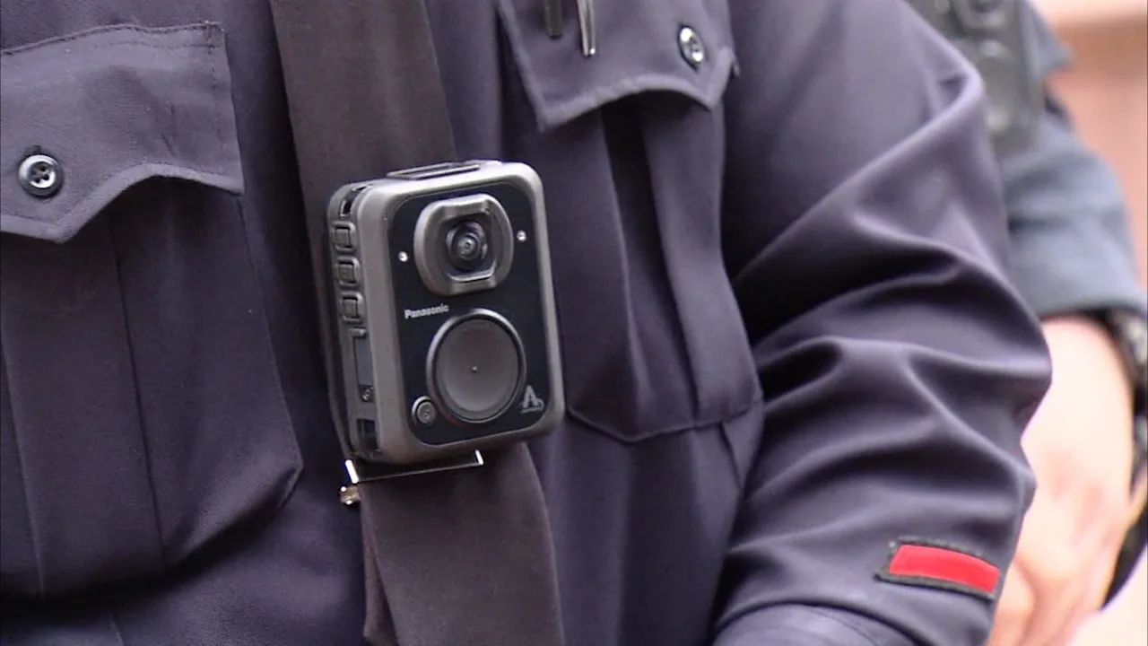 Article 115771 Thumbnail