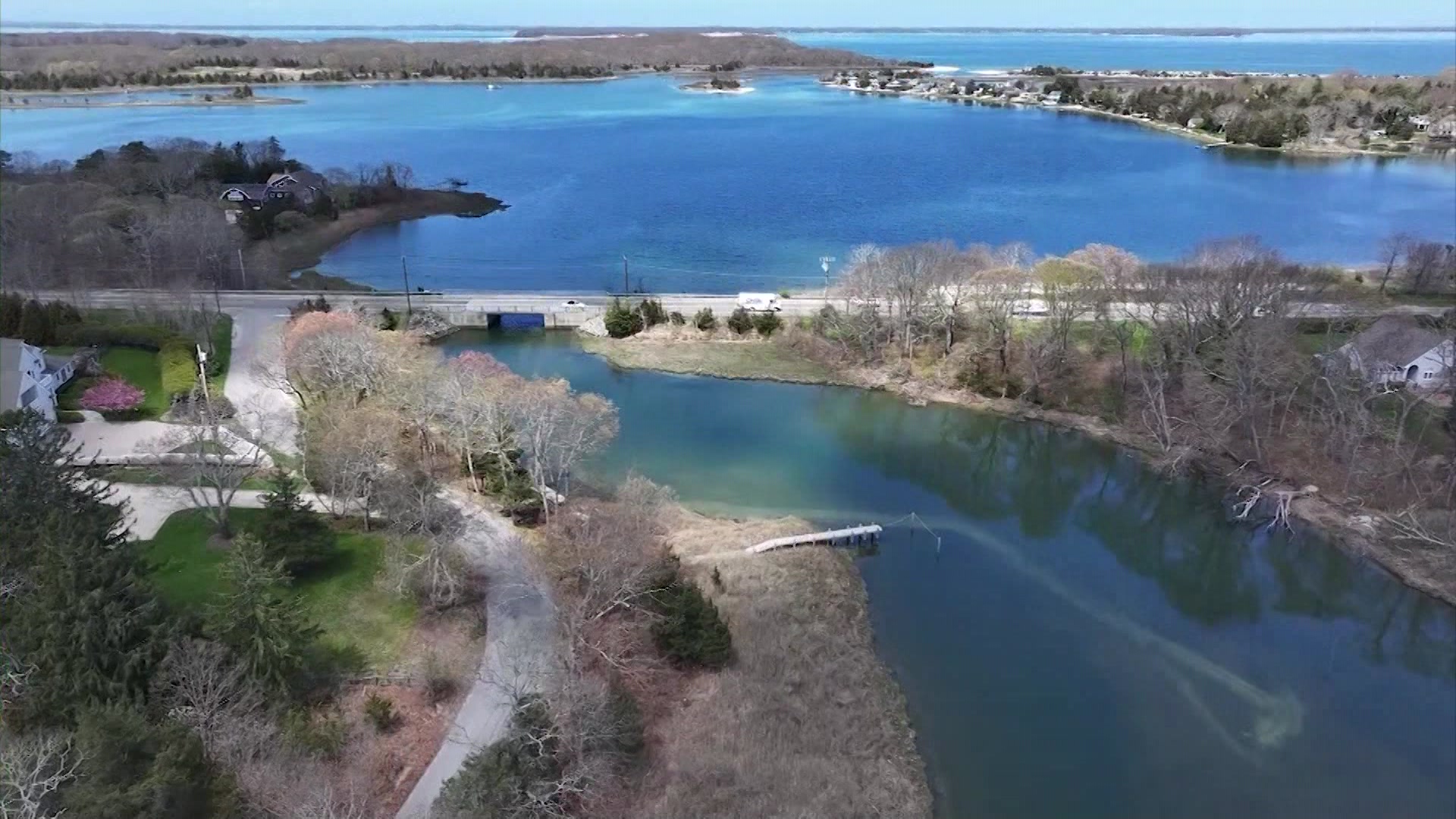 Exclusive Police K 9 Searching In North Sea At Location Of Cold Case Murder - News12 | Long Island