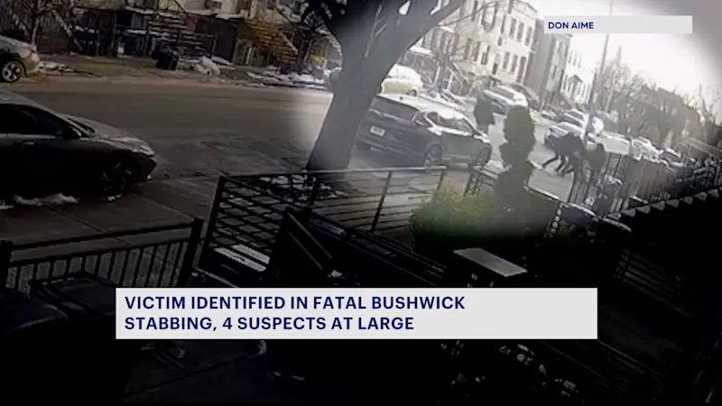 Story image: Police identify 24-year-old fatally stabbed in Bushwick; 4 suspects at large