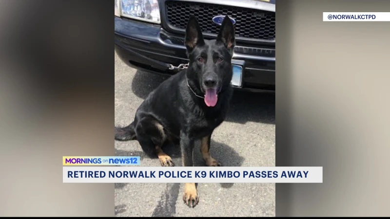 Story image: Norwalk police mourn loss of retired K-9 officer Kimbo