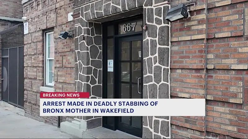 Story image: Arrest made in fatal stabbing of Bronx mom in Wakefield