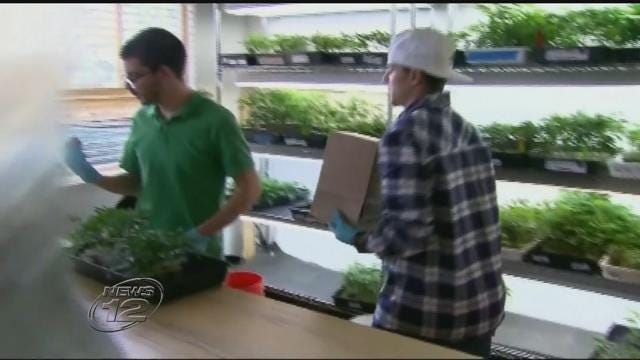 Article 108388 Thumbnail