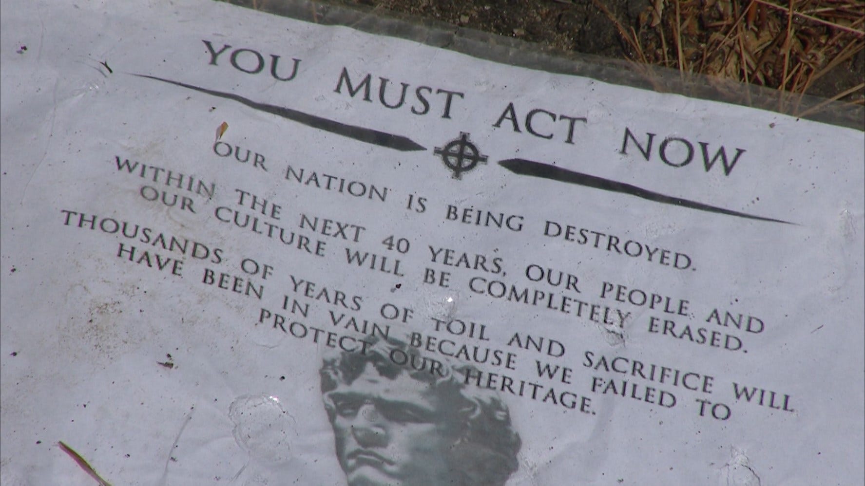 Article 116897 Thumbnail