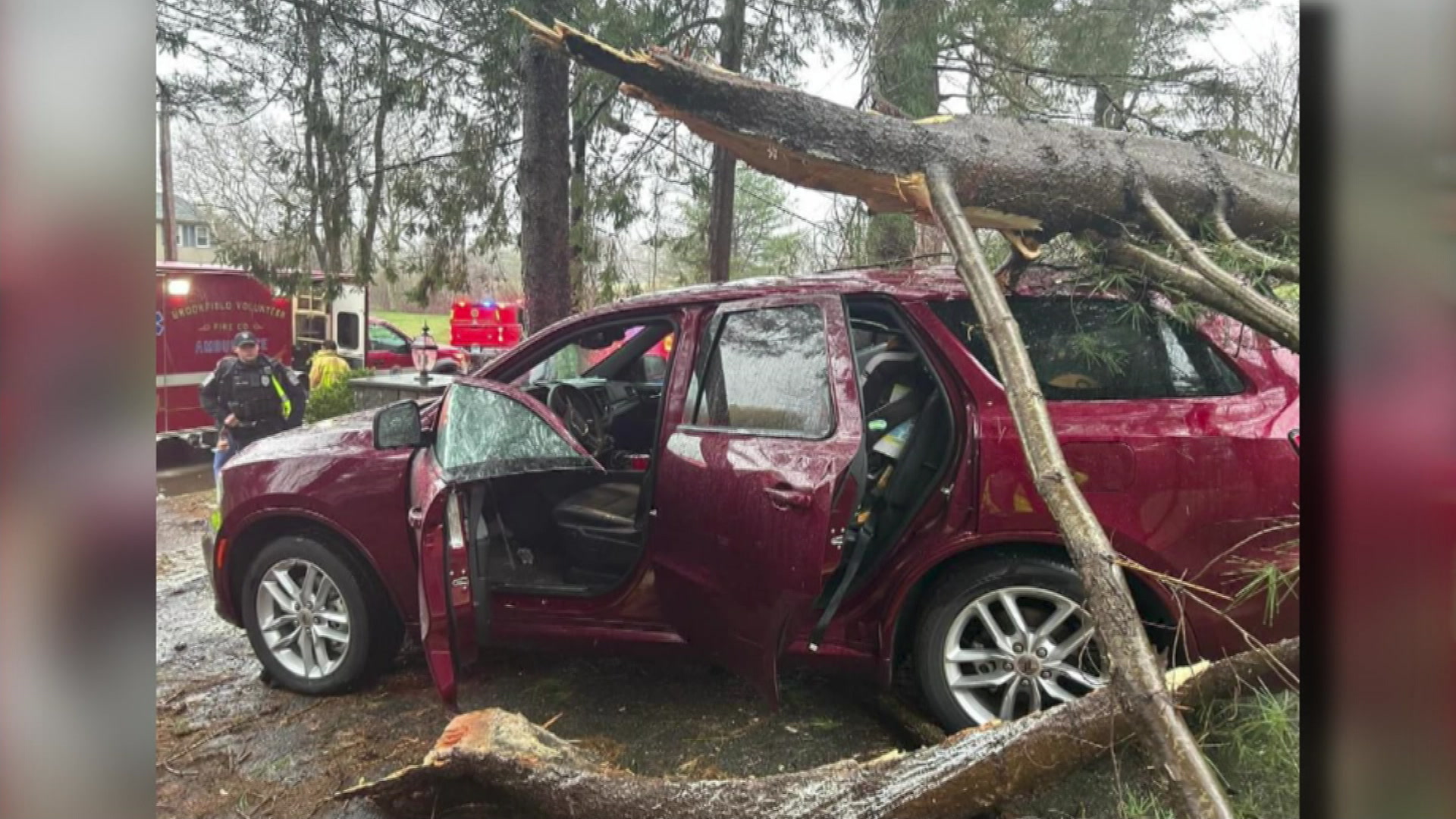 ‘It was a miracle.’ Brookfield family thankful to be OK after tree