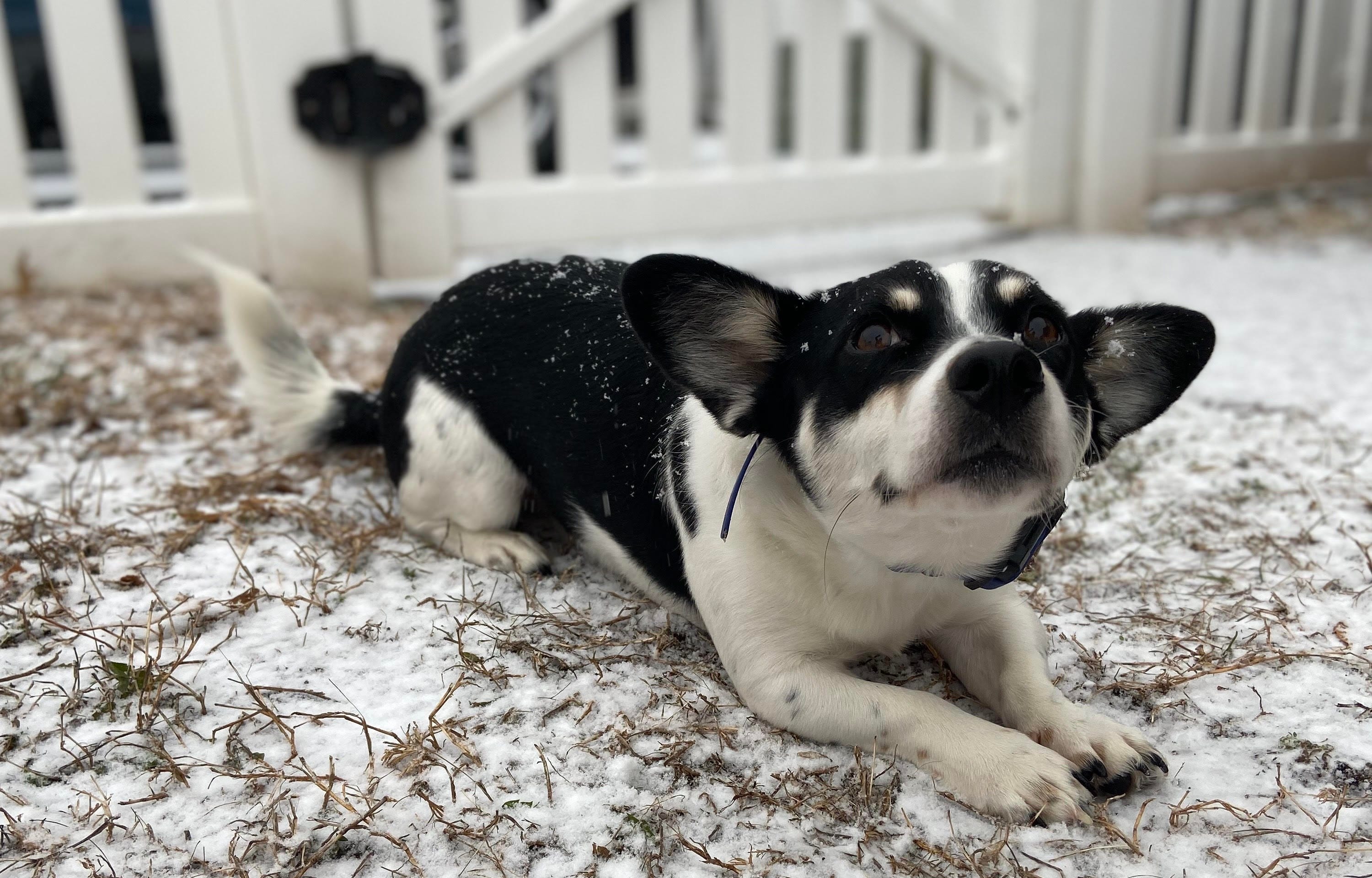 Article 33538 Thumbnail