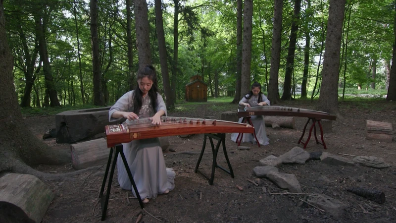 Story image: Chinese harp prodigy from Hartsdale to perform at this weekend's Asian-American Heritage Festival in Valhalla