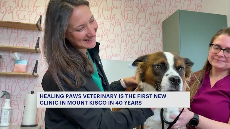 Story image: Mount Kisco's newest vet clinic aims to prioritize the welfare of all pets