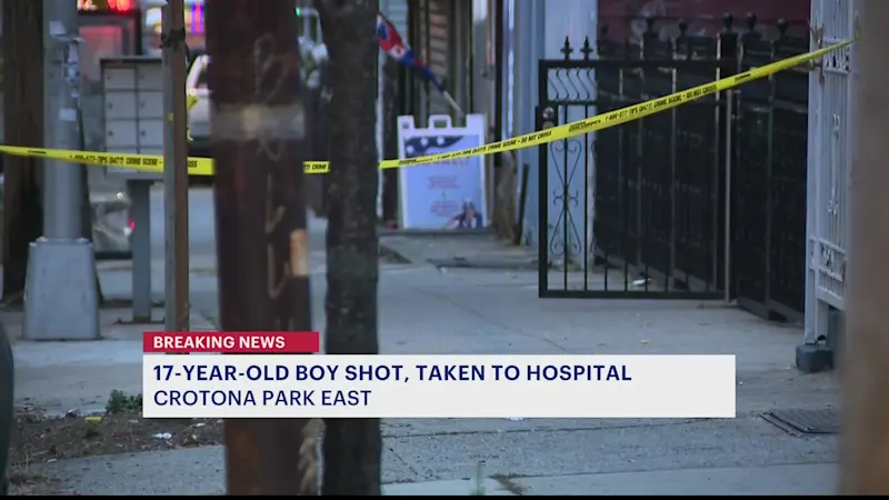 Story image: Teen boy shot in shoulder in Crotona Park East