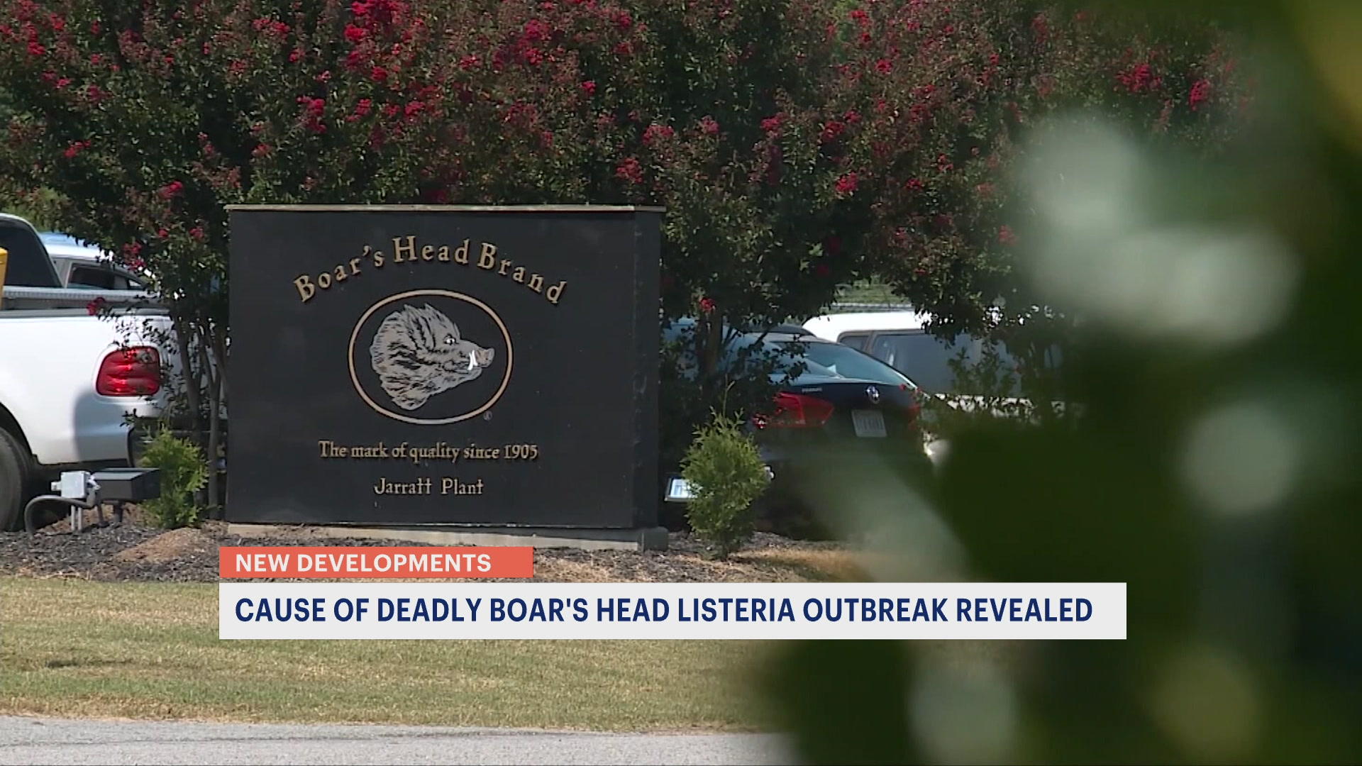 USDA documented insects and slime at Boar's Head plants, records show