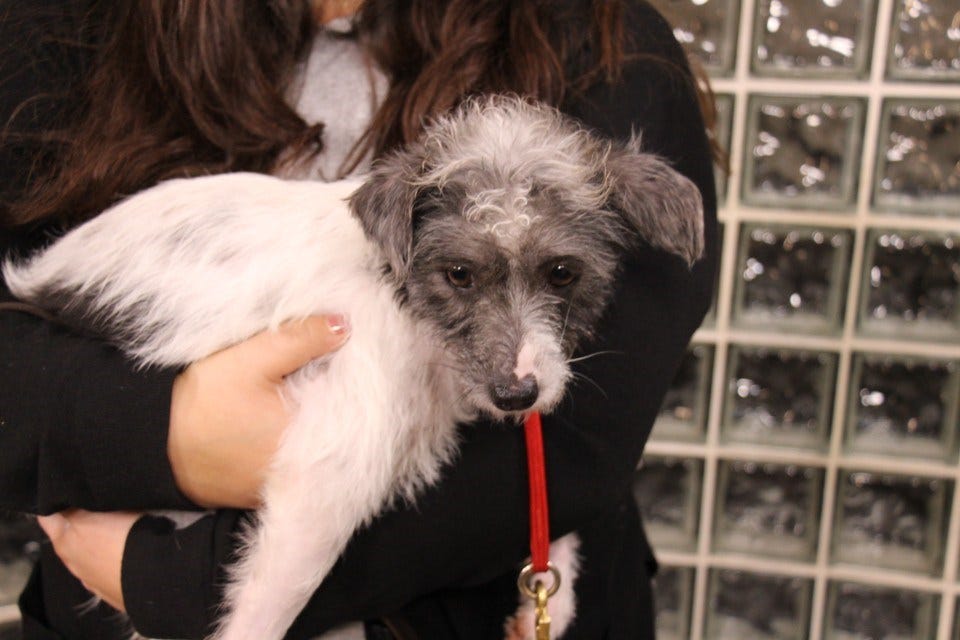 Article 115761 Thumbnail