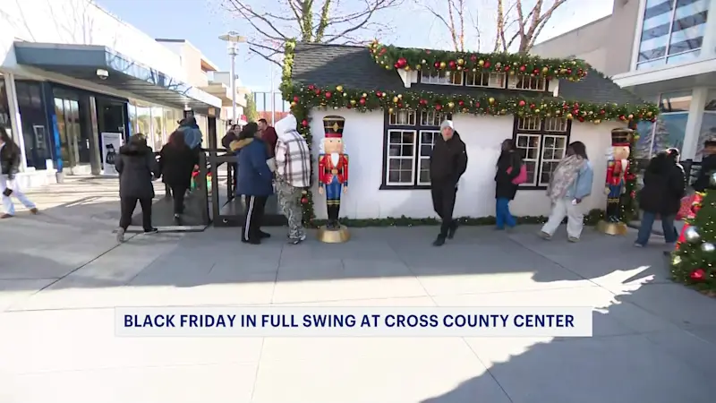 Story image: Shoppers hit the malls for Black Friday deals