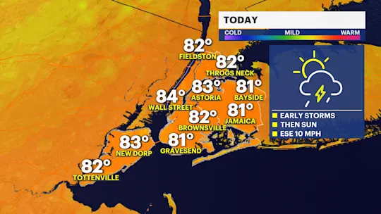 NYC TODAY