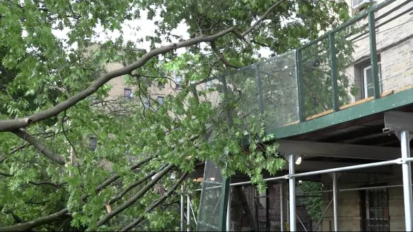 Storms cause tree to knock down scaffolding in Wakefield