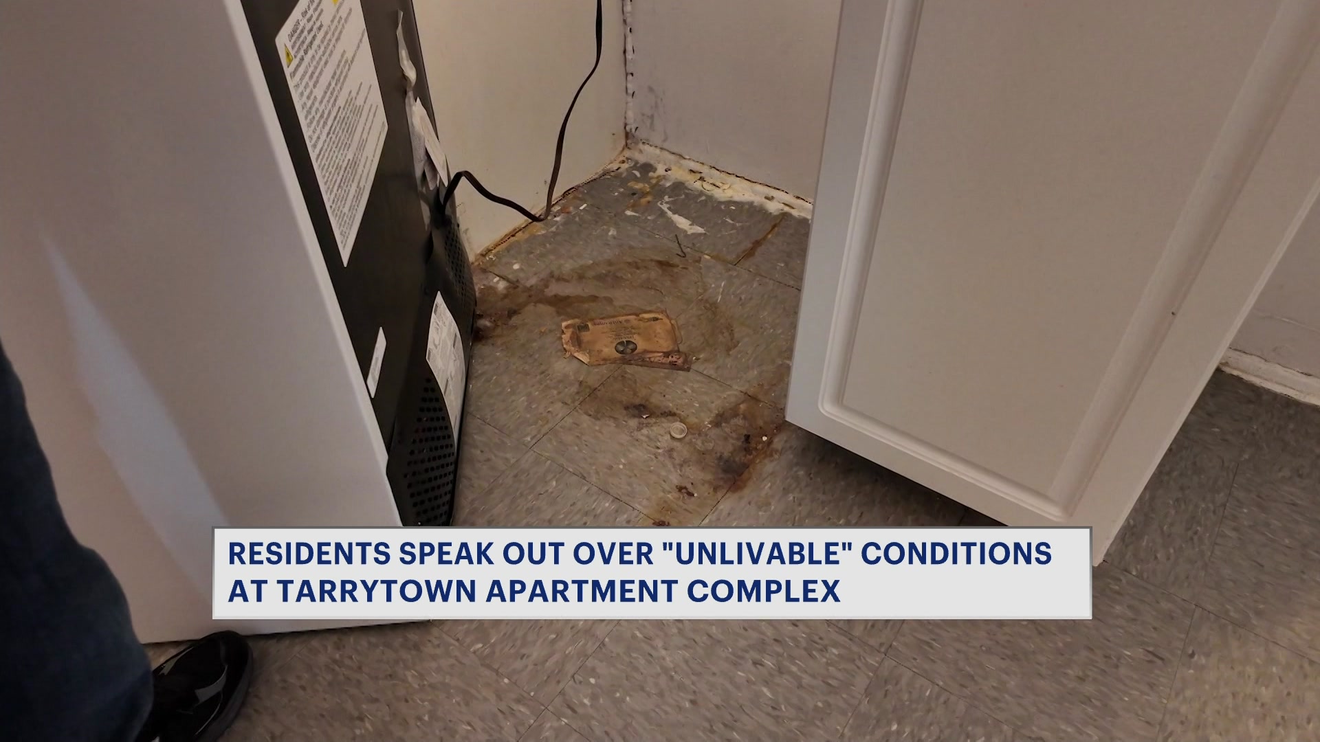 RTWCHVTarrytownRatsLDValle5pm_2026-04-21-17-25-01