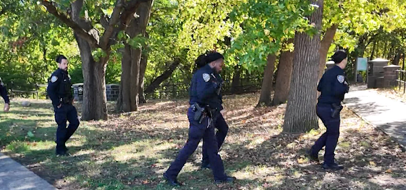 Story image: Girl lured into secluded area by man while walking to school in Edenwald