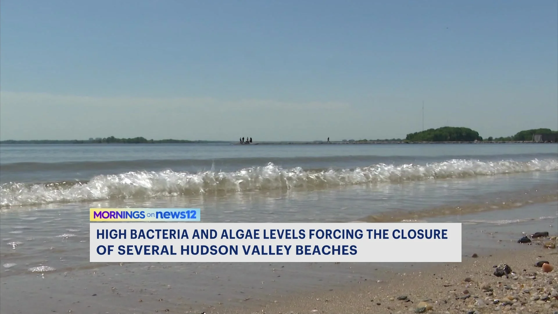 Lawmakers are trying to force the state to act as more beaches are closed due to bacterial contamination