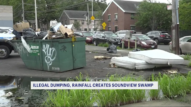 Story image: Rainfall, illegal dumping creates swamp in Soundview