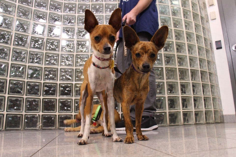 Article 135981 Thumbnail