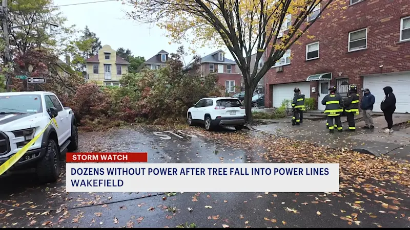 Story image: 47 customers without power in Wakefield due to fallen tree