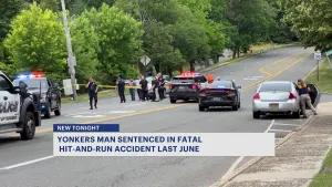 Westchester DA: Yonkers man sentenced 1 1/3 to 4 years in prison for fatal June 2023 hit-and-run