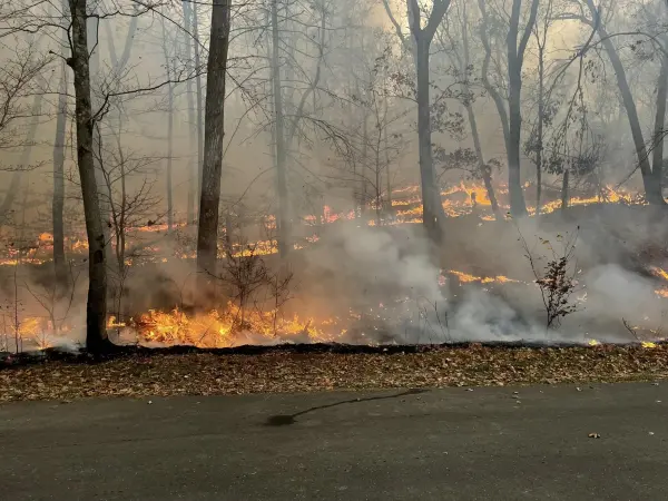 Story image: Connecticut issues Stage 2 drought advisory