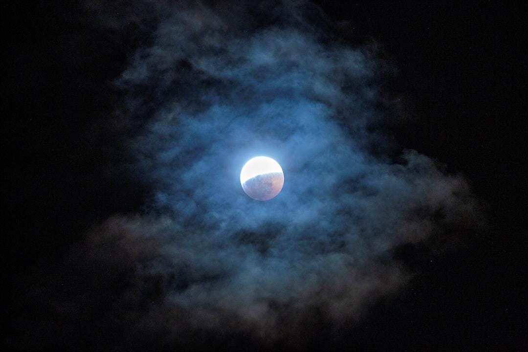 Article 47901 Thumbnail