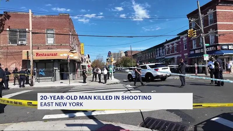 Story image: Sources: 2 relatives shot, one dead in East New York