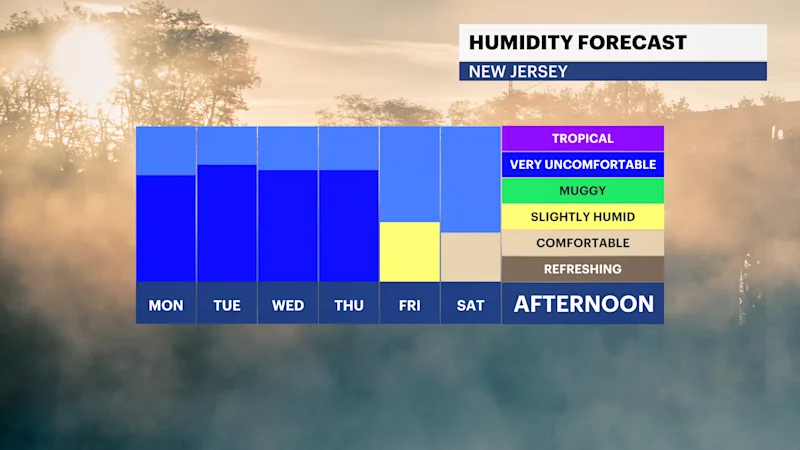 FB_Dewpoint_Daily.png