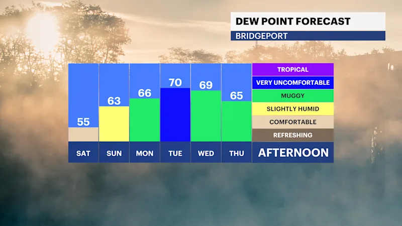 FB_Dewpoint_Daily.png