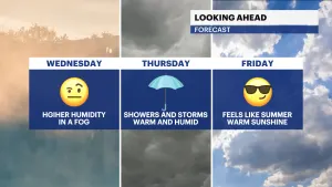 Humidity on the rise starting Wednesday, rain likely for Thursday