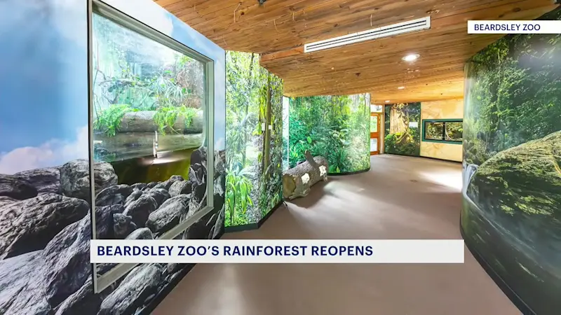 Story image: Beardsley Zoo reopens its rainforest building with new animals