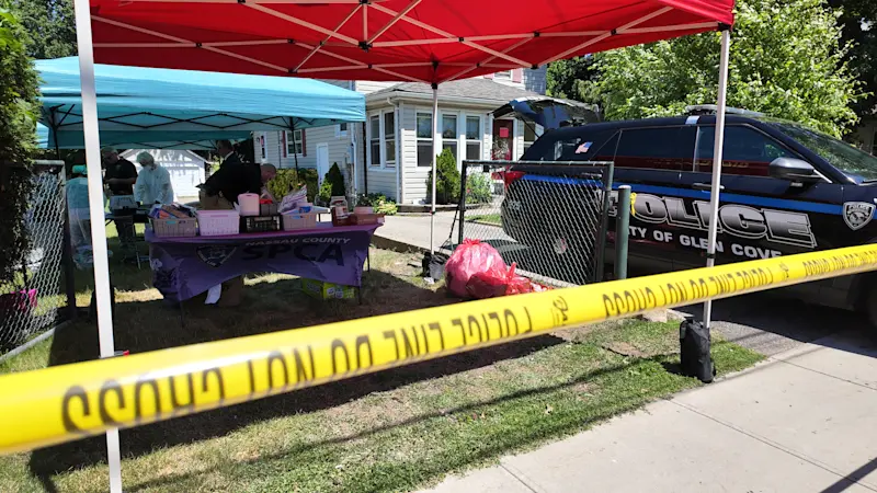 Story image: Efforts continue today to rescue cats found in deplorable conditions inside a Glen Cove home