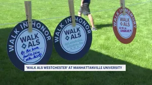 Walk ALS Westchester raises $100,000 at Manhattanville University 