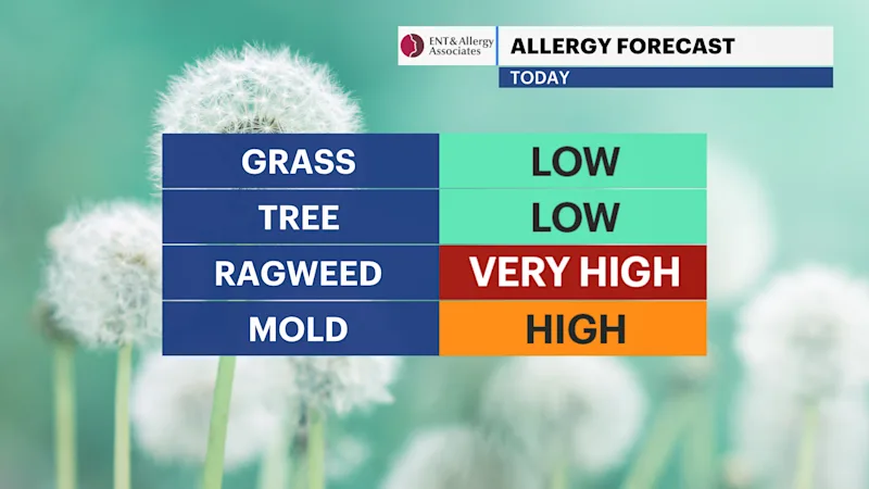 ALLERGY.png