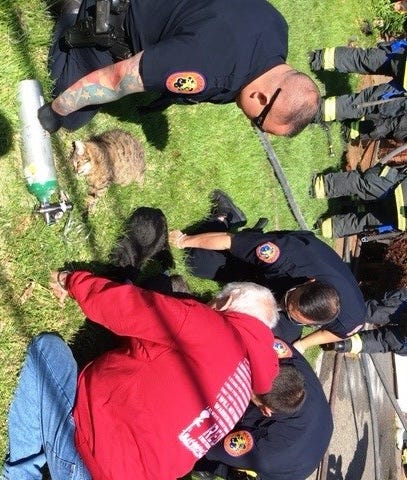 Article 117103 Thumbnail