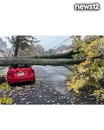 Story image: New York City Storm Photos & Videos