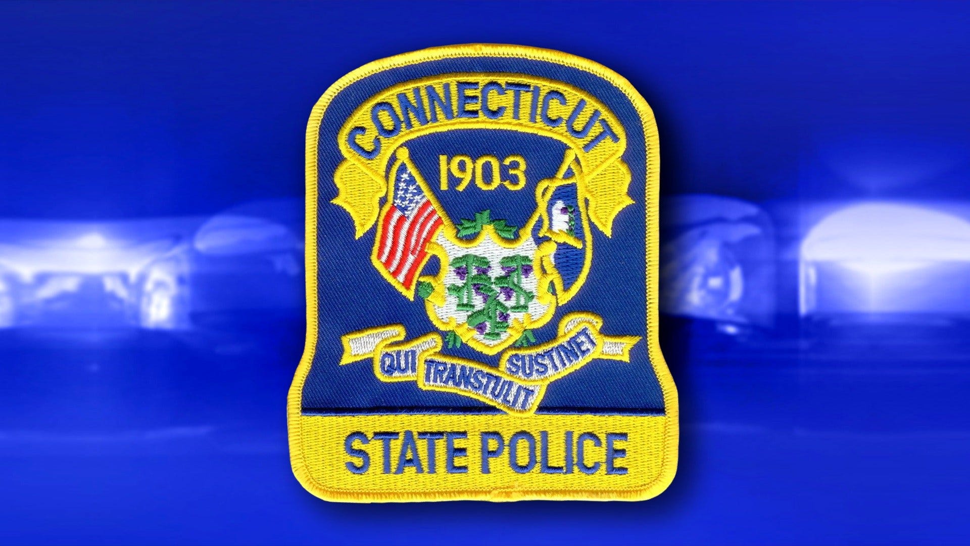 Article 113082 Thumbnail