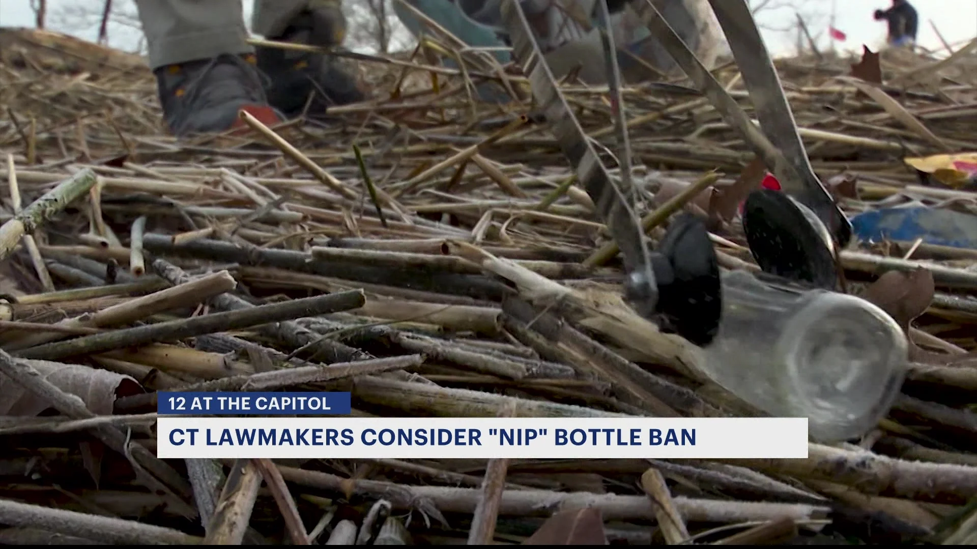Debate over sale of ‘nips’ sparks controversy at state capitol