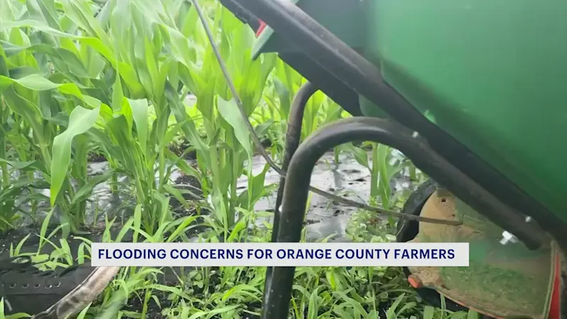 Story image: Flood fears grow for Hudson Valley farmers with Wallkill River on the rise