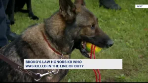 State officials announce enactment of law honoring K-9 killed in the line of duty