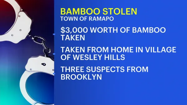 3 from Brooklyn arrested in Ramapo for stealing bamboo worth over $3,000